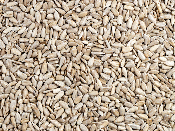 Słonecznik łuskany 5 kg, pestki, ziarna słonecznika