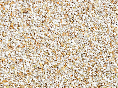 Kasza krakowska 25 kg - łamana gryczana, duże opakowanie