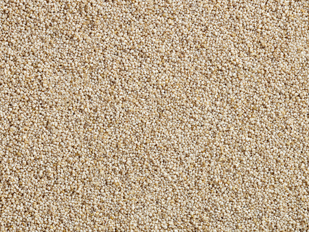 Mak biały Premium 5 kg