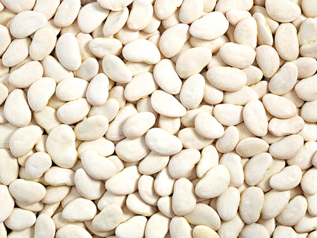 Fasola jaś duży 1 kg, jaś tyczny