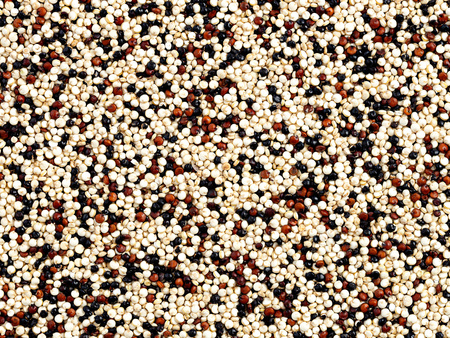 Komosa ryżowa kolorowa 5 kg, quinoa, nasiona komosy, trójkolorowa