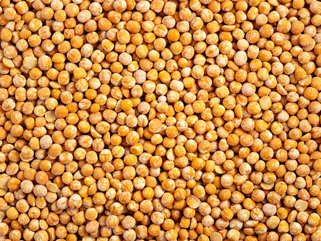 Groch obłuskany 25 kg, obłuszczony, żółty, cały - duże opakowanie