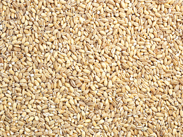 Kasza pęczak 5 kg, jęczmienna