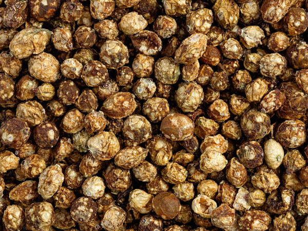 Agrest liofilizowany cały 50g