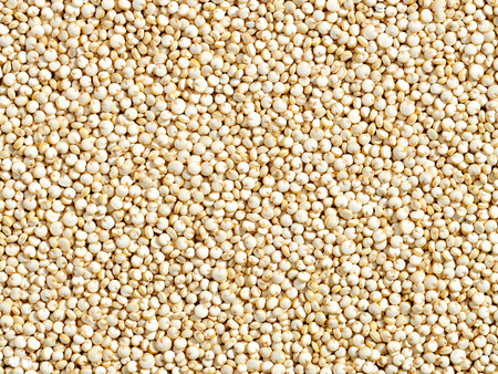 Komosa ryżowa biała 5 kg, Quinoa, nasiona komosy
