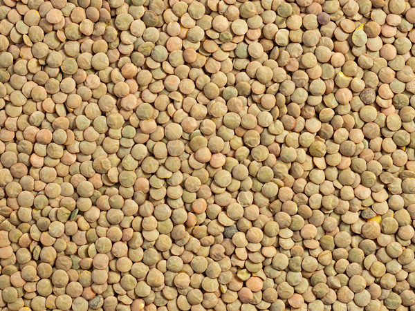 Soczewica zielona 1 kg