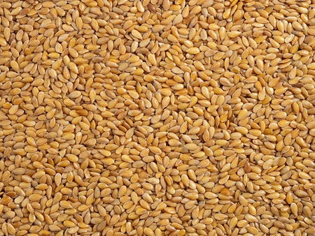 Siemię lniane złote 1 kg, ziarno lnu złote