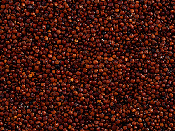 Komosa ryżowa czerwona 25 kg, quinoa, nasiona komosy - duże opakowanie