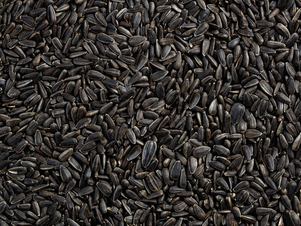 Słonecznik czarny drobny 1 kg, dla ptaków, w łupinie