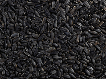 Słonecznik czarny gruby 5 kg, w łupinie