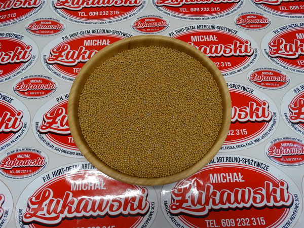 Gorczyca biała 5 kg - nasiona gorczycy białej, duże opakowanie