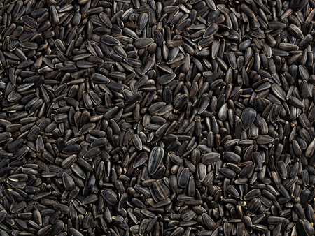 Słonecznik czarny drobny 5 kg, dla ptaków, w łupinie