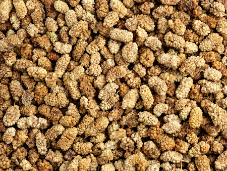 Morwa biała suszona 1 kg