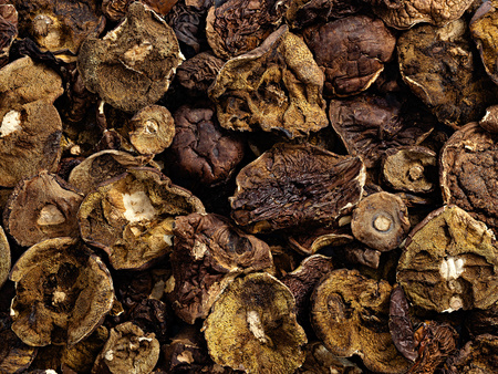 Podgrzybek suszony kapelusze 100g - kapelusze podgrzybków - duże opakowanie