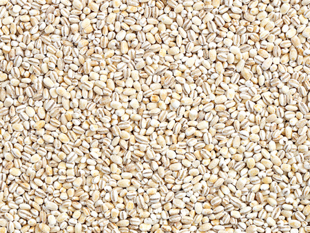 Kasza pęczak perłowy 1 kg, jęczmienna, extra