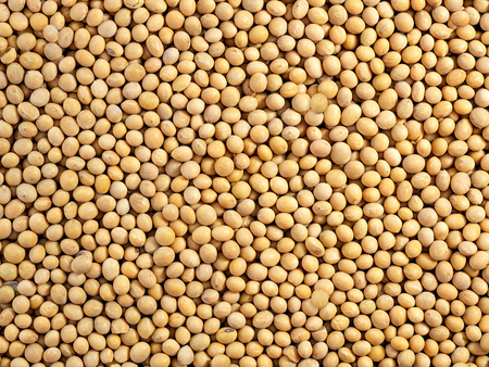 Soja ziarno 1 kg, naturalna bez GMO