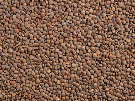 Soczewica brązowa 5 kg