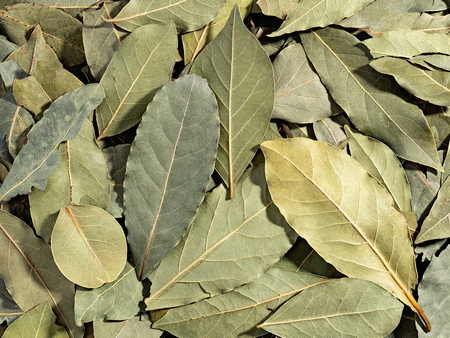 Liść laurowy suszony Extra 1 kg 