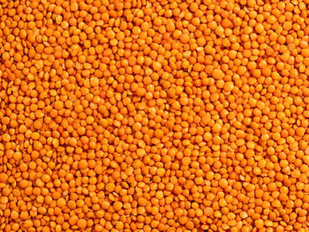 Soczewica czerwona 5 kg